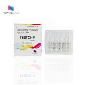 TESTO P 1ML AMPOULE